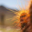 Product carousel Indicator